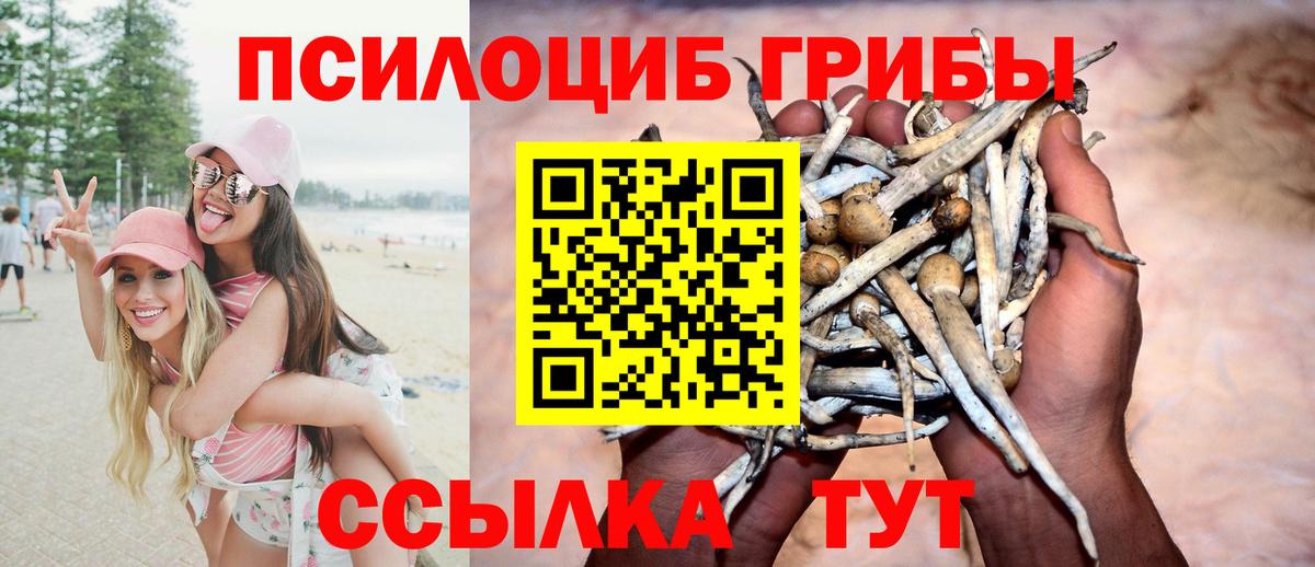 Белебей  Псилоцибиновые грибы прущие грибы  Вход с VPN 